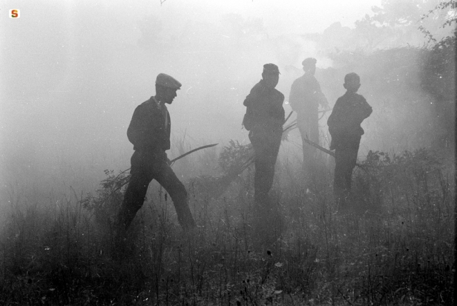 Photo by S. R. Zedeler - Fondo Bentzon - http://www.sardegnadigitallibrary.it/